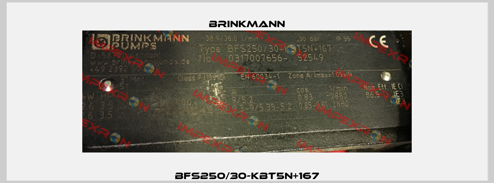 BFS250/30-KBT5N+167 Brinkmann