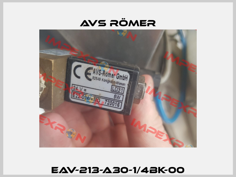 EAV-213-A30-1/4BK-00 Avs Römer