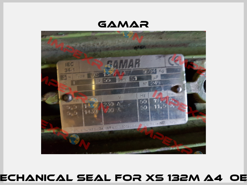 Mechanical seal for XS 132M A4  OEM Gamar