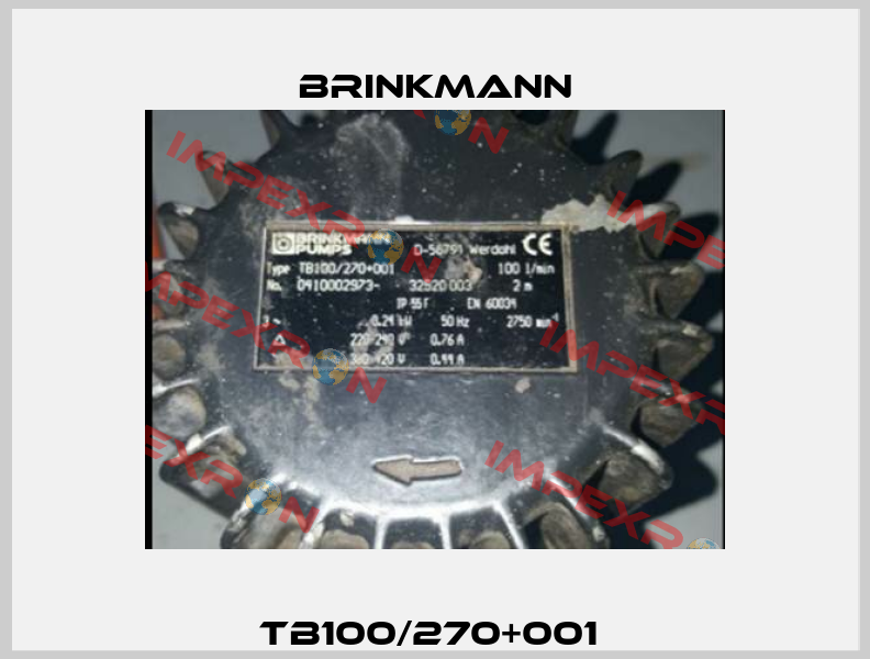 TB100/270+001  Brinkmann