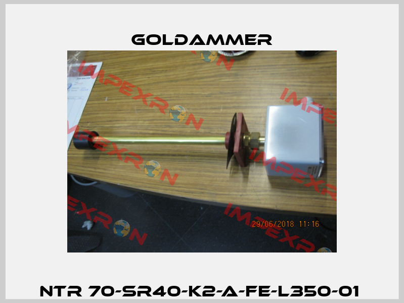 NTR 70-SR40-K2-A-FE-L350-01  Goldammer