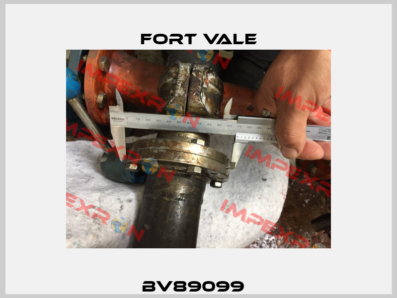 BV89099   Fort Vale