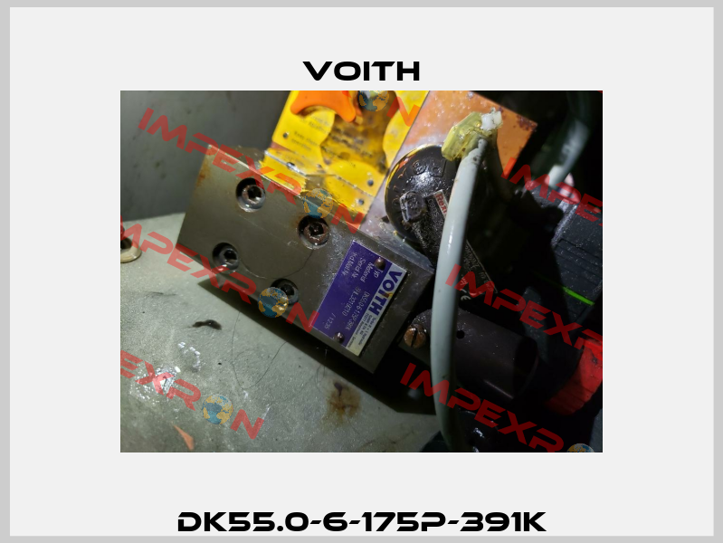 DK55.0-6-175P-391K Voith