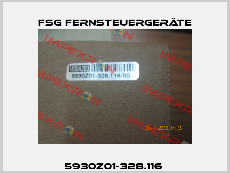 5930Z01-328.116  FSG Fernsteuergeräte