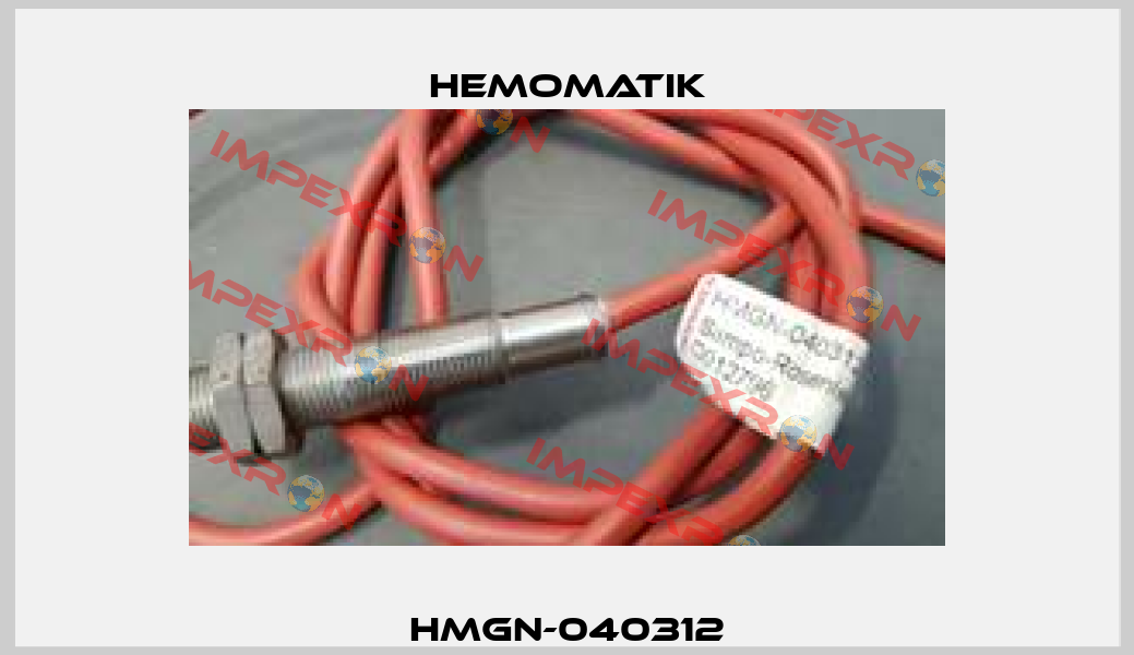 HMGN-040312 Hemomatik