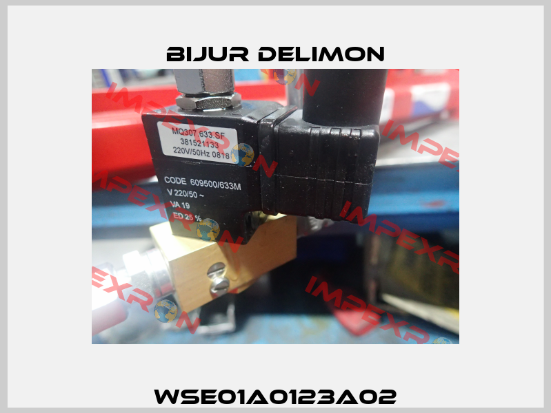 WSE01A0123A02 Bijur Delimon