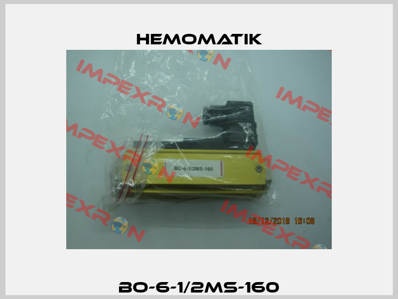 BO-6-1/2MS-160 Hemomatik