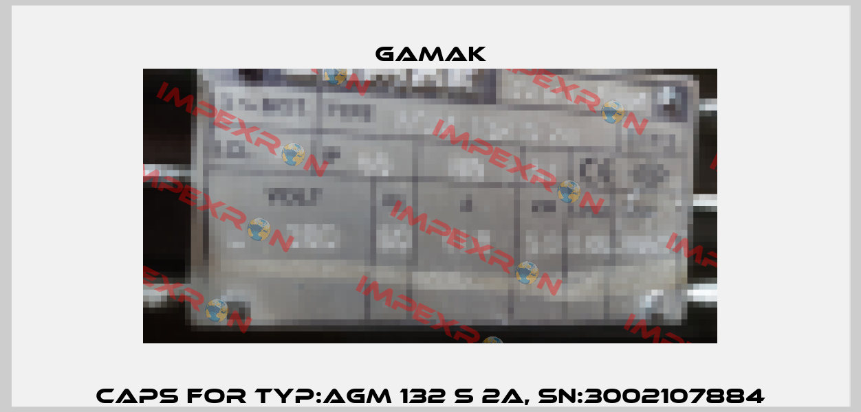 Caps for Typ:AGM 132 S 2a, SN:3002107884 Gamak