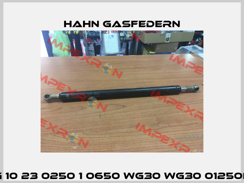 G 10 23 0250 1 0650 WG30 WG30 01250N Hahn Gasfedern