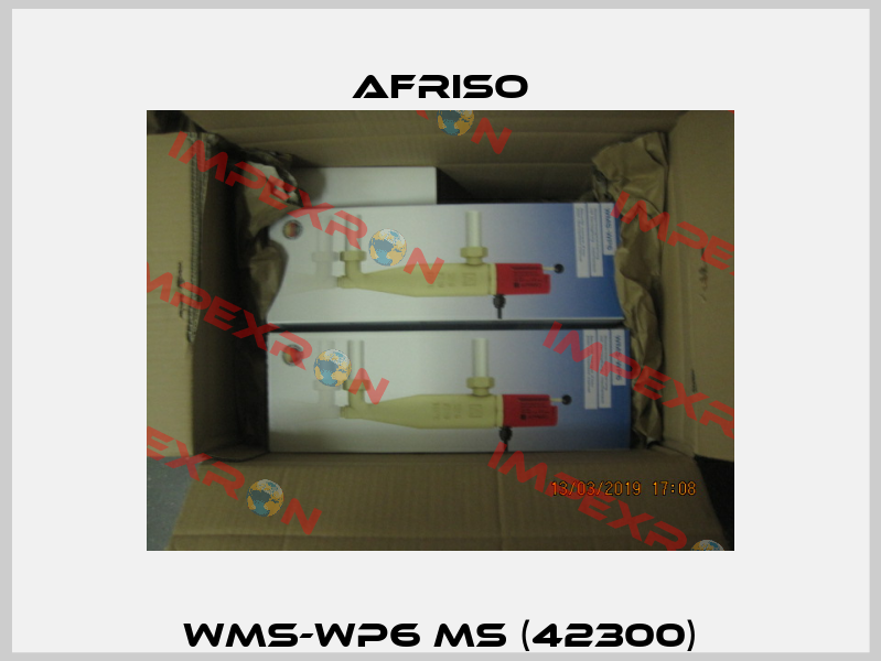 WMS-WP6 MS (42300) Afriso