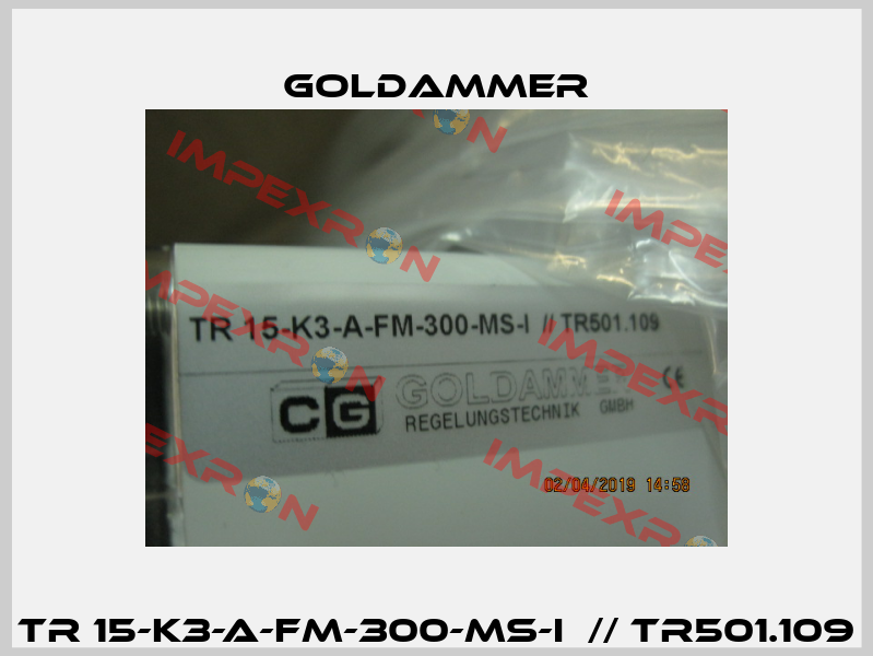 TR 15-K3-A-FM-300-MS-I  // TR501.109 Goldammer