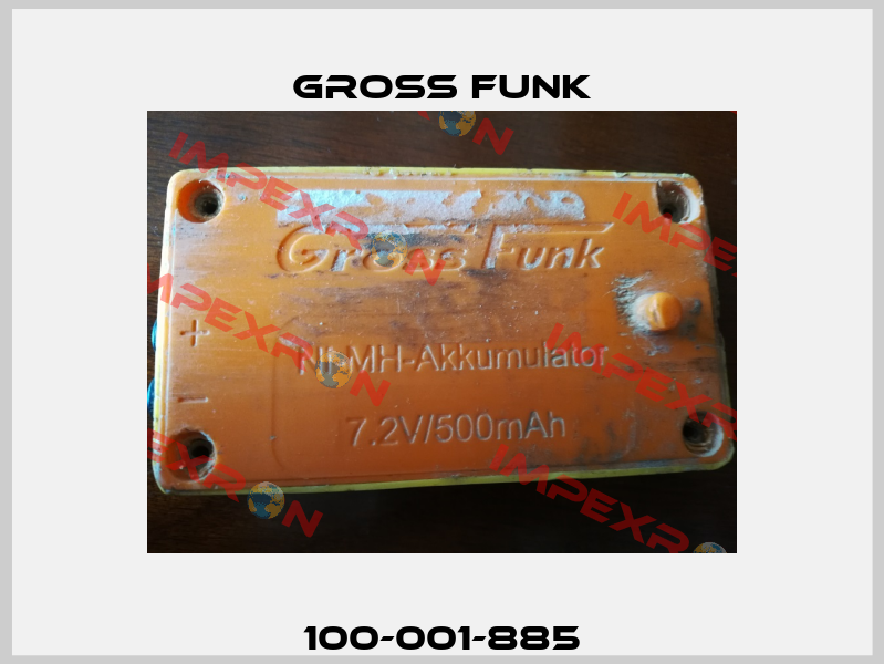 100-001-885 Gross Funk