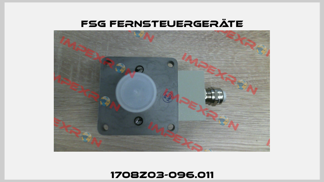 1708Z03-096.011 FSG Fernsteuergeräte