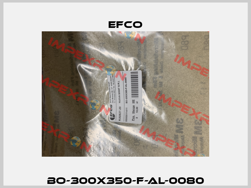 BO-300X350-F-AL-0080 Efco
