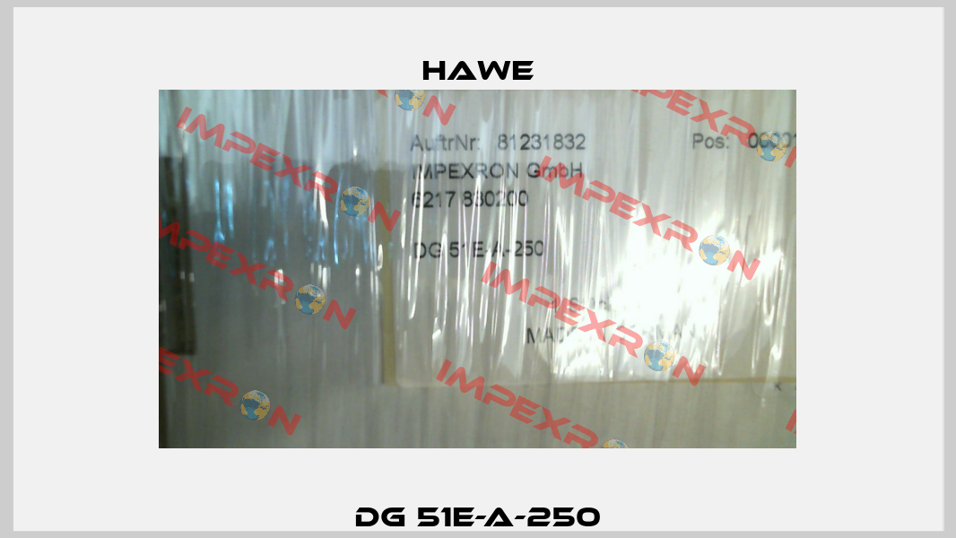 DG 51E-A-250 Hawe