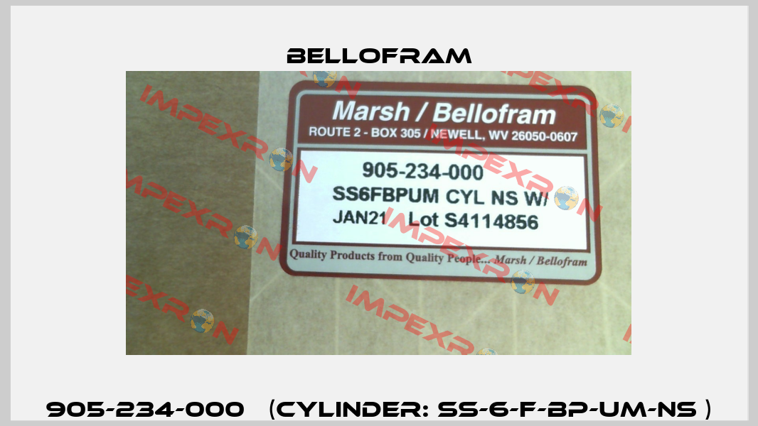 905-234-000   (CYLINDER: SS-6-F-BP-UM-NS ) Bellofram