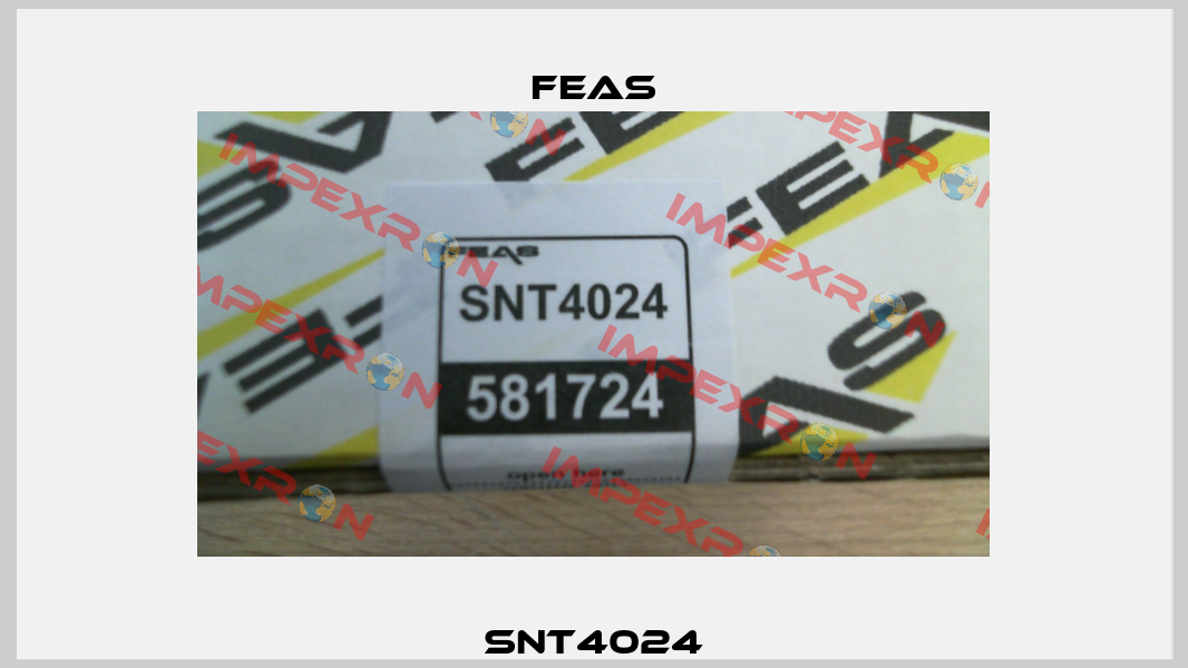 SNT4024 Feas