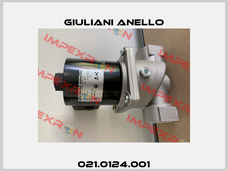021.0124.001 Giuliani Anello