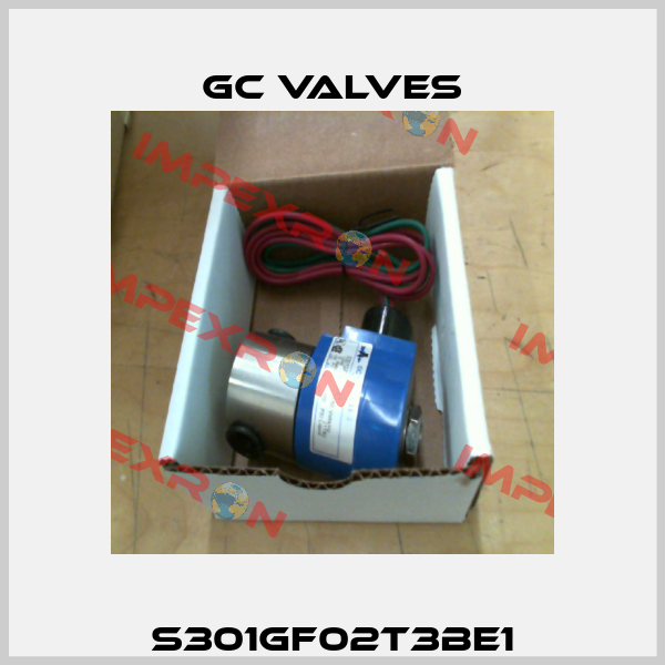 S301GF02T3BE1 GC Valves