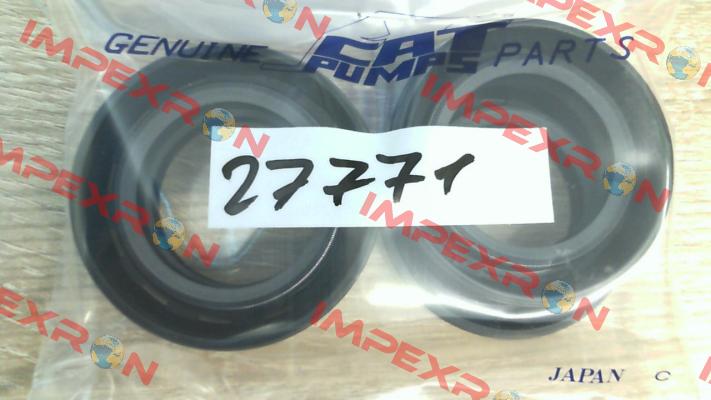 27771 Cat Pumps
