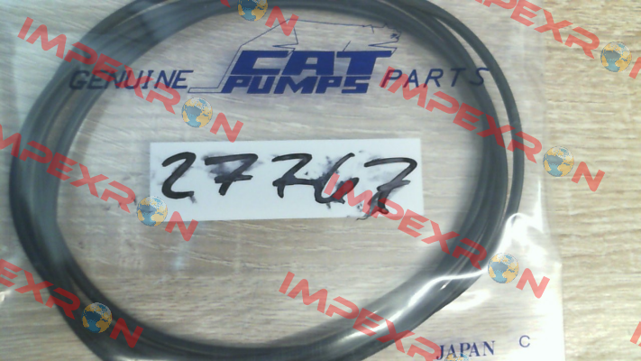 27767 Cat Pumps