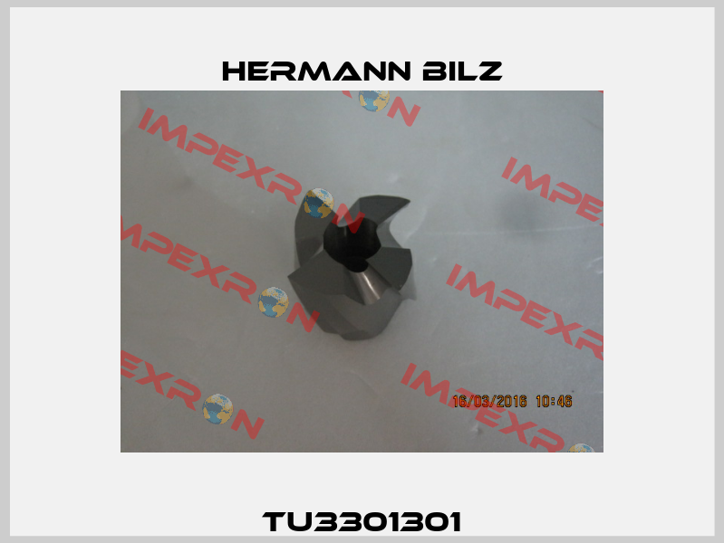 TU3301301 Hermann Bilz