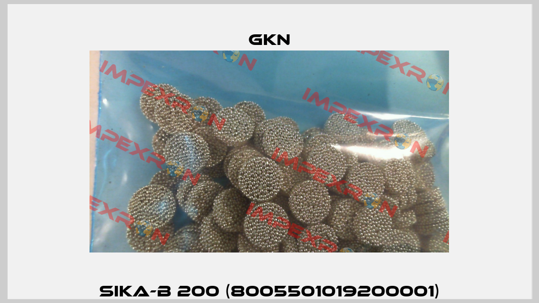 SIKA-B 200 (8005501019200001) GKN