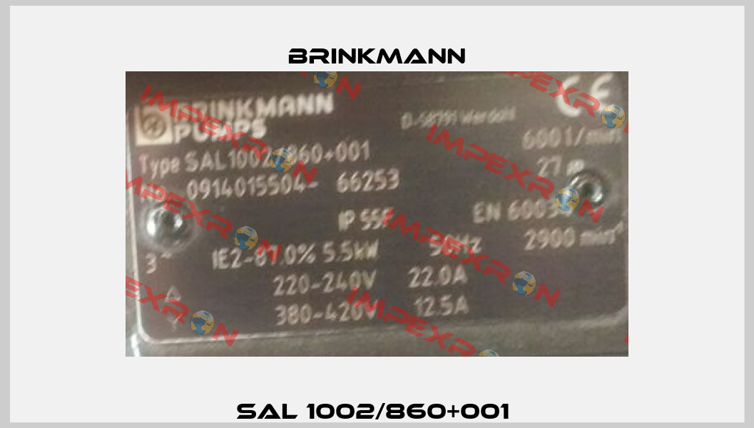 SAL 1002/860+001  Brinkmann