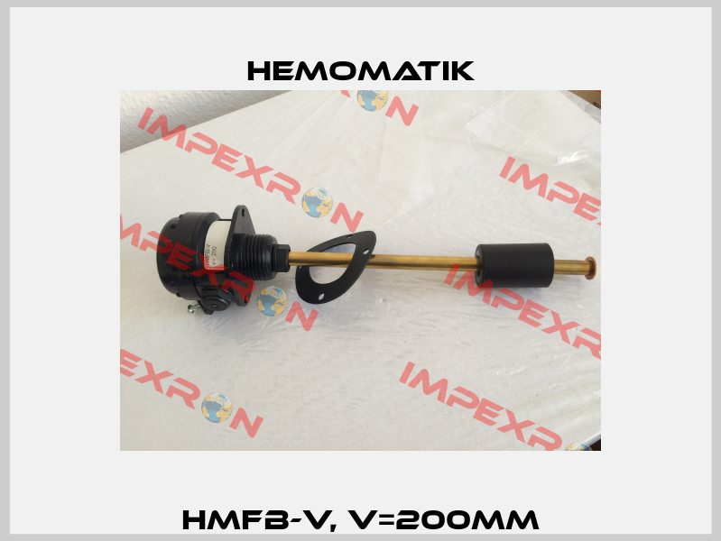 HMFB-V, V=200MM Hemomatik