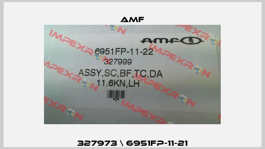 327973 \ 6951FP-11-21 Amf