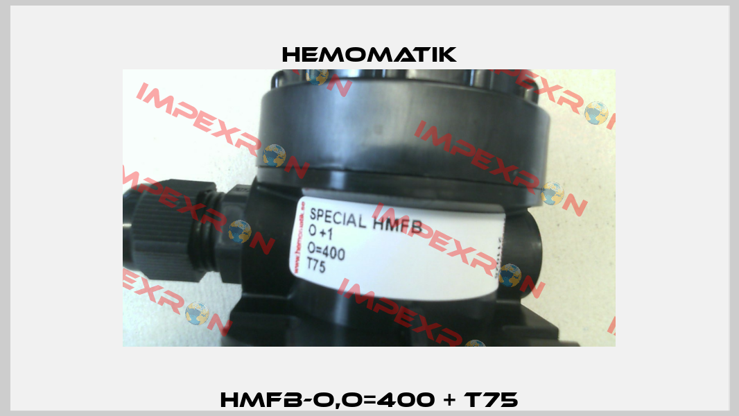 HMFB-O,O=400 + T75 Hemomatik