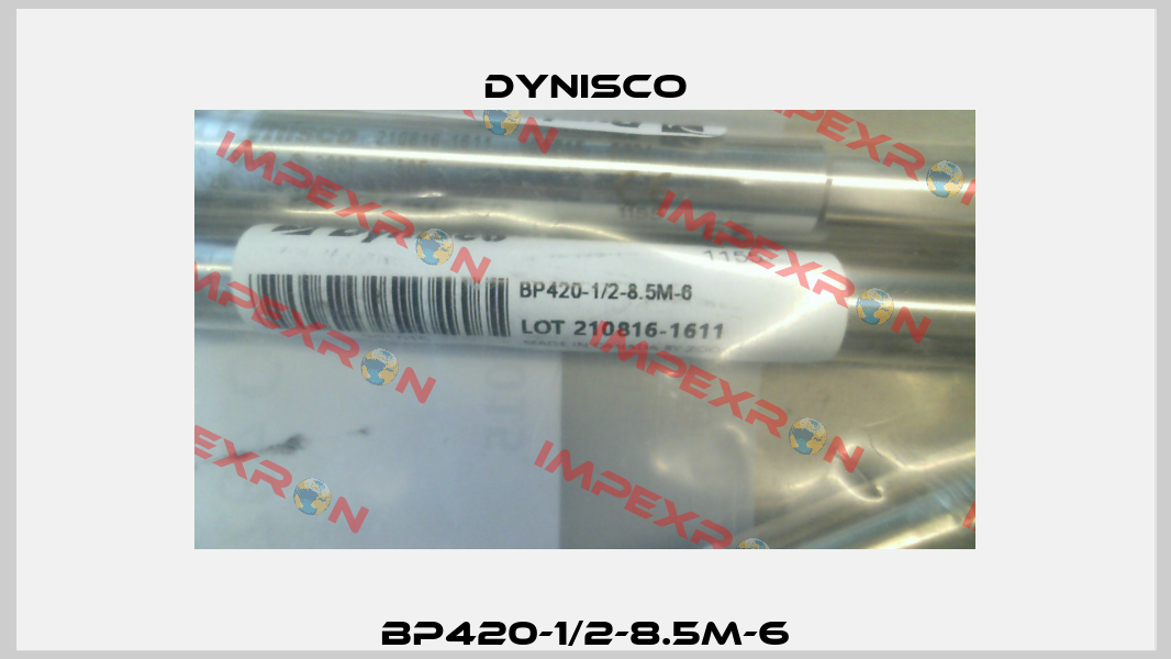 BP420-1/2-8.5M-6 Dynisco