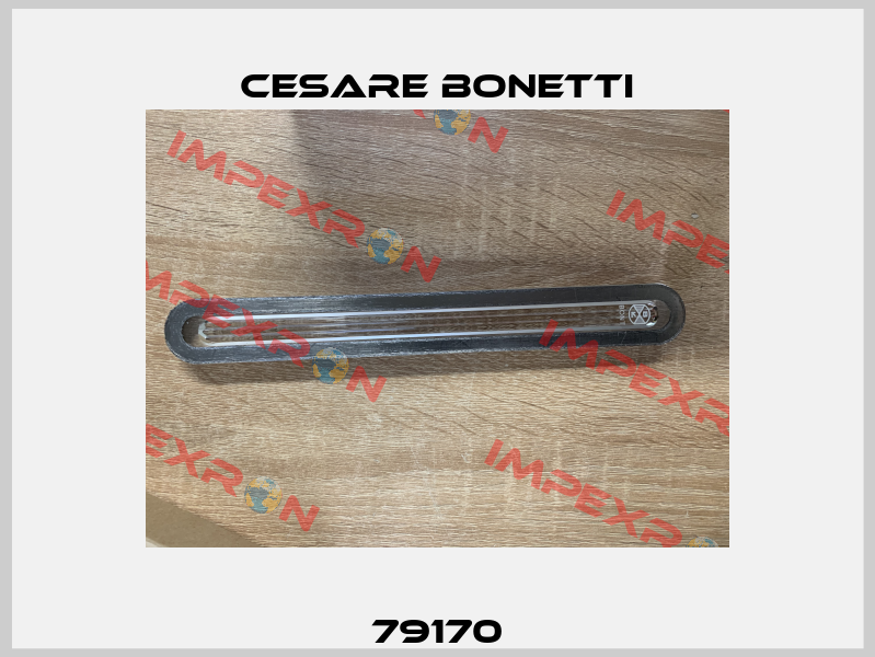79170 Cesare Bonetti