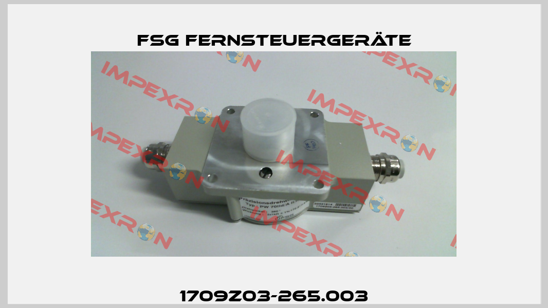 1709Z03-265.003 FSG Fernsteuergeräte