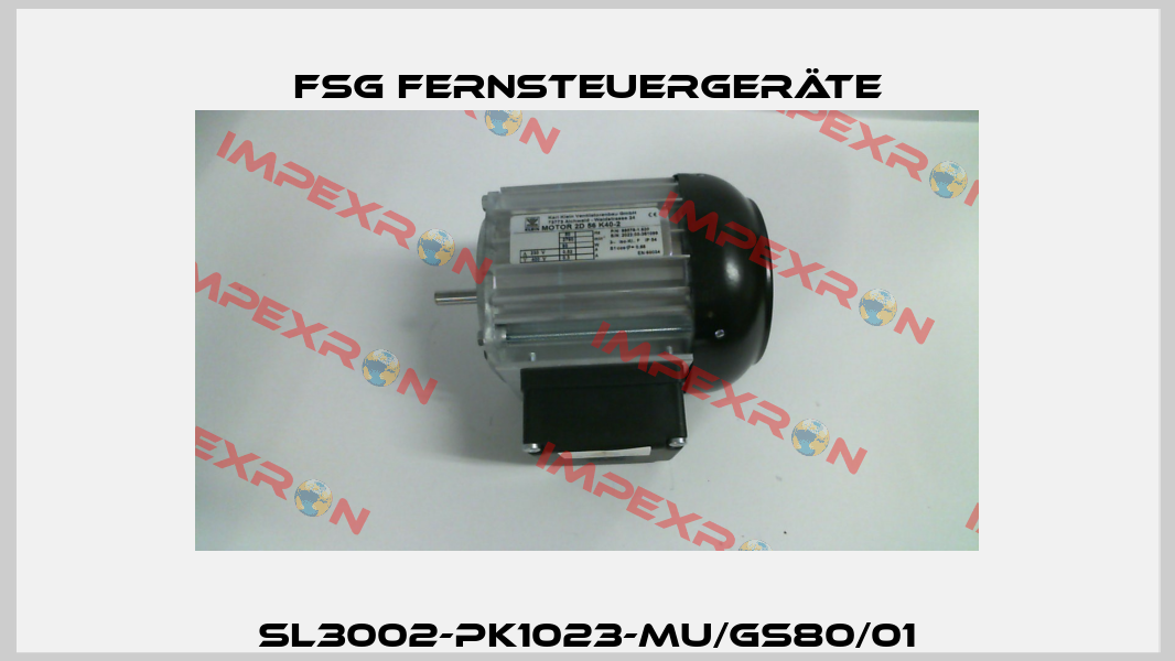 SL3002-PK1023-MU/GS80/01 FSG Fernsteuergeräte