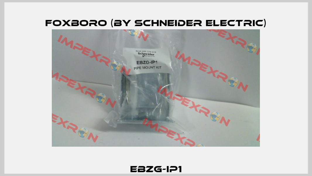EBZG-IP1 Foxboro (by Schneider Electric)