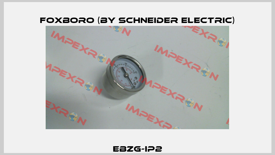EBZG-IP2 Foxboro (by Schneider Electric)
