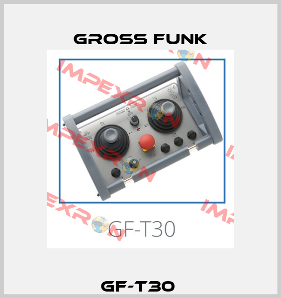 GF-T30  Gross Funk