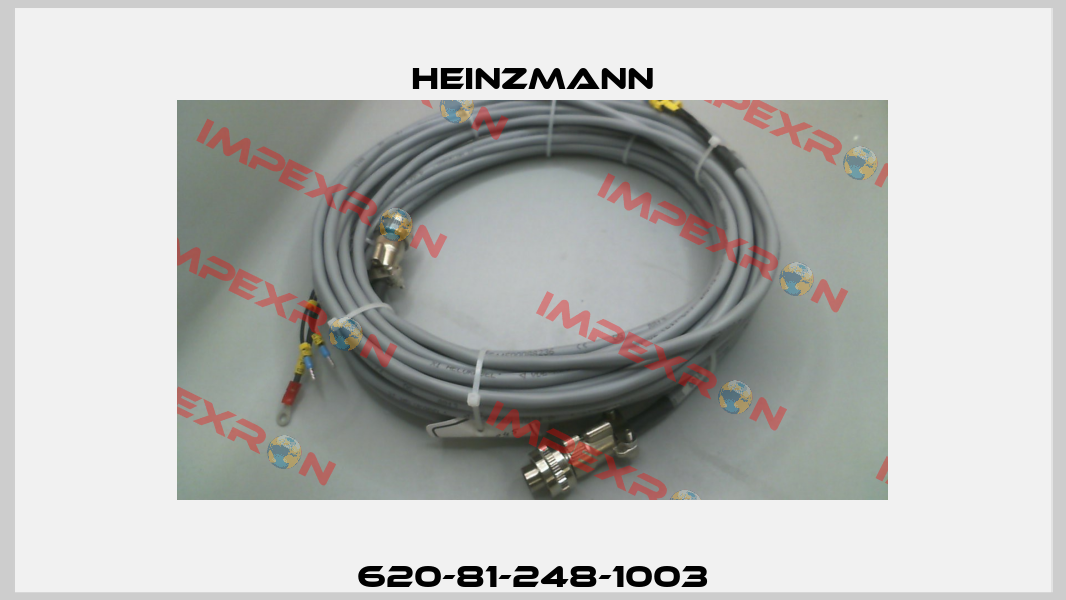 620-81-248-1003 Heinzmann