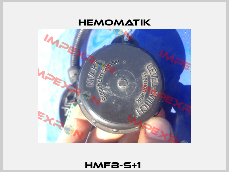 HMFB-S+1  Hemomatik