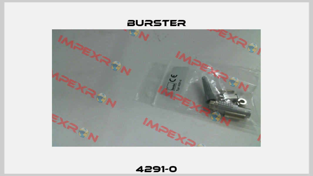 4291-0 Burster