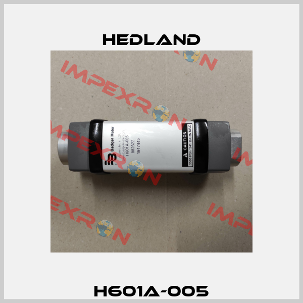 H601A-005 Hedland