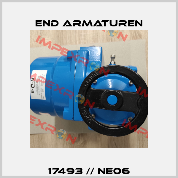 17493 // NE06 End Armaturen