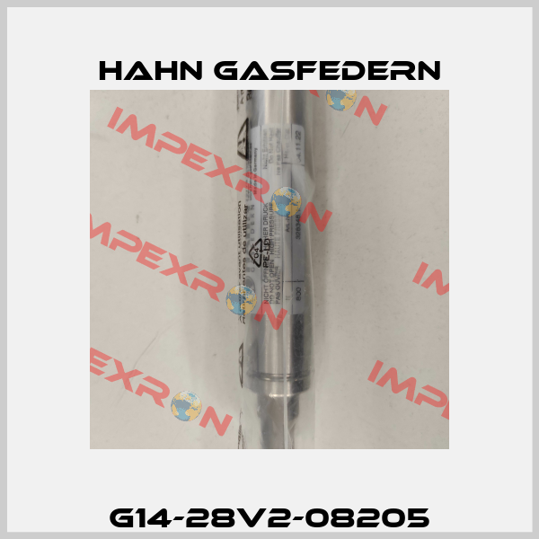 G14-28V2-08205 Hahn Gasfedern