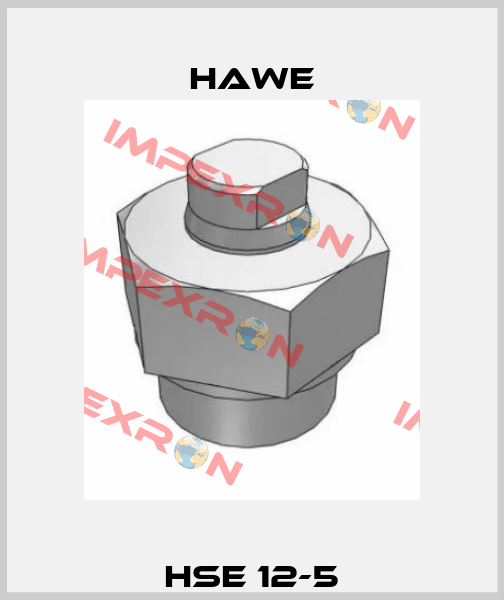 HSE 12-5 Hawe