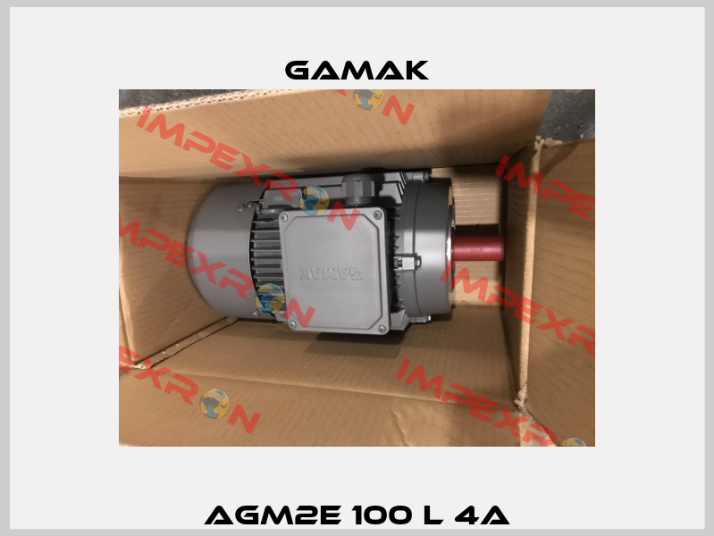 AGM2E 100 L 4a Gamak