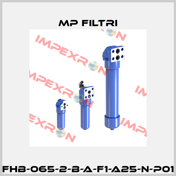 FHB-065-2-B-A-F1-A25-N-P01 MP Filtri