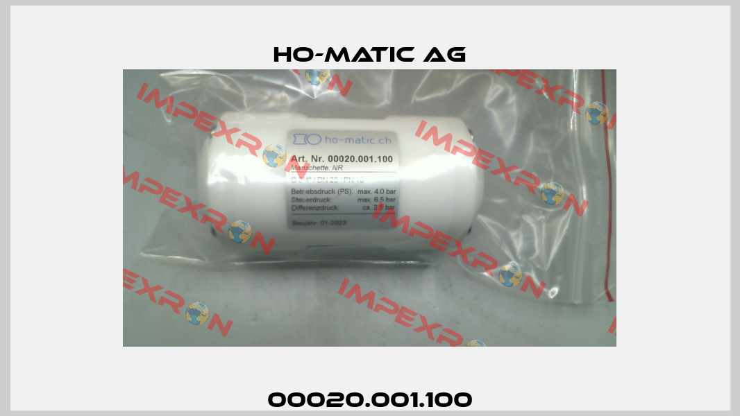 00020.001.100 Ho-Matic AG