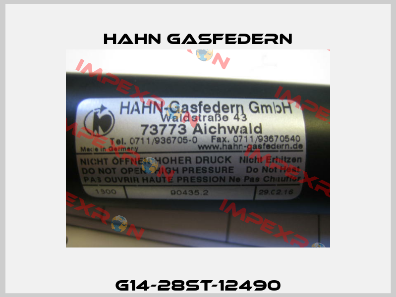 G14-28ST-12490 Hahn Gasfedern