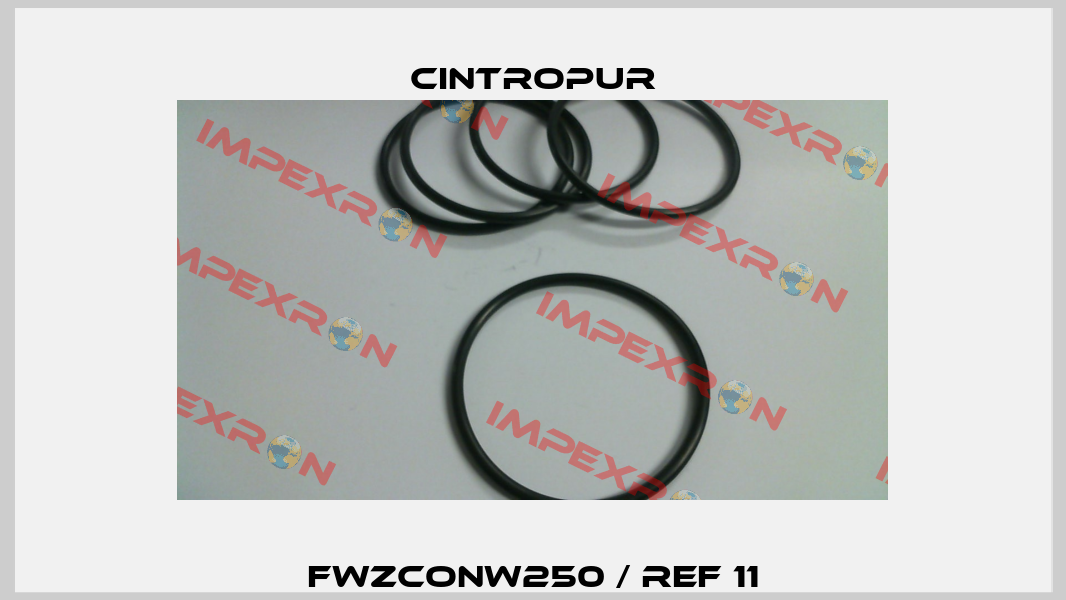 FWZCONW250 / Ref 11 Cintropur
